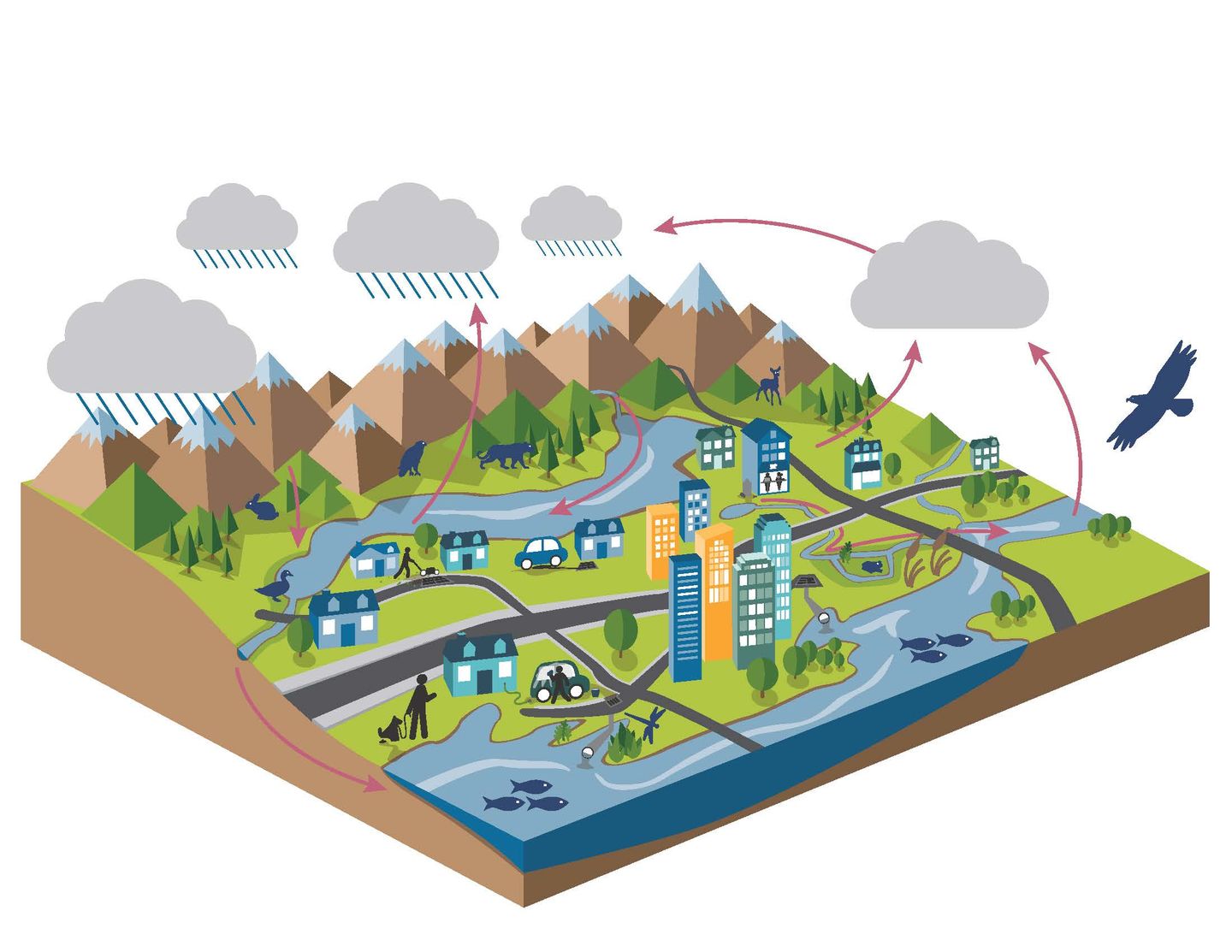 Stormwater cycle of life starting with rain