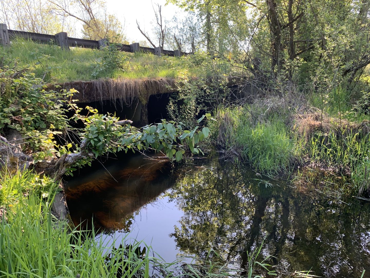 Kelsey Creek Culvert