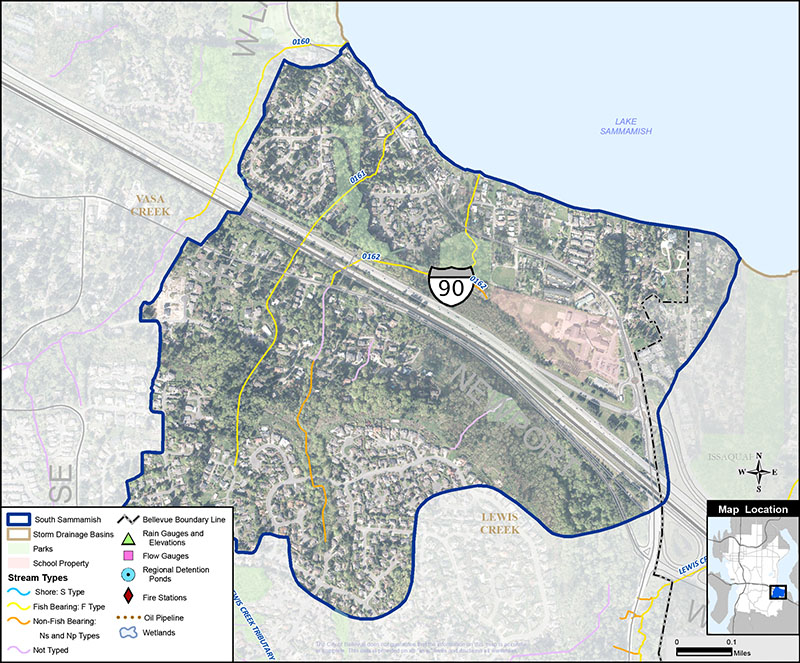 BasinFactSheet_South Sammamish.jpg