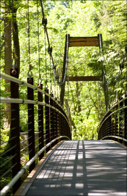 Ravine Garden Bridge Picture