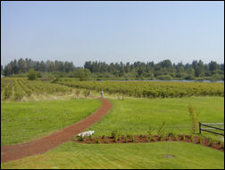 Larsen Lake Blueberry Farm in the Lake Hills Greenbelt