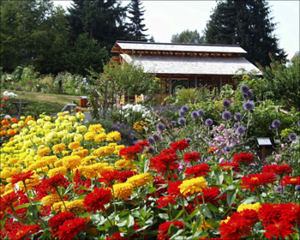 Lake Hills Greenbelt Picnic Shelter