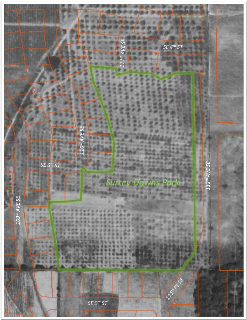 1936 aerial photo of Surrey Downs park property