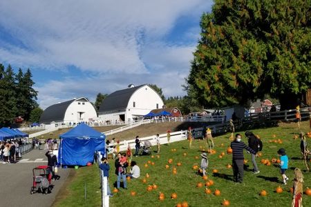 Kelsey Creek Farm Fair