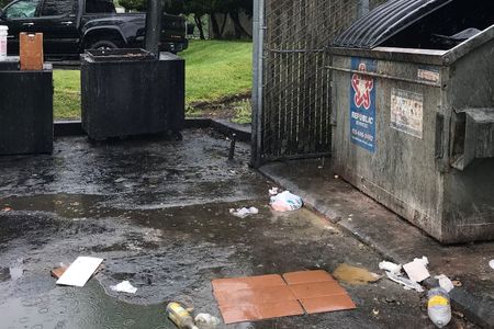 Dumpsters with pollutants