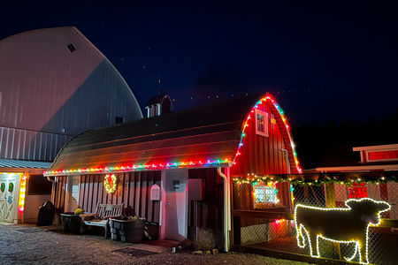 Image of barn, with multi-color string of lights around roof