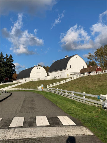 Photo of Kelsey Creek Farm road