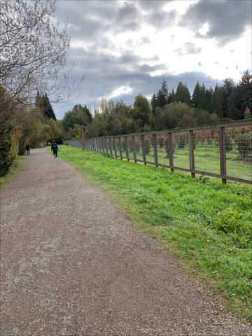 Photo of Lake Hills Greenbelt trail