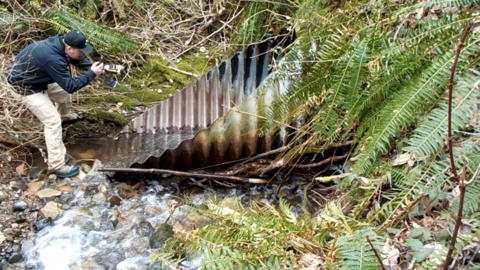 Lakemont Culvert