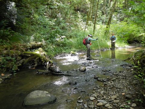 Stream Habitat Assessment