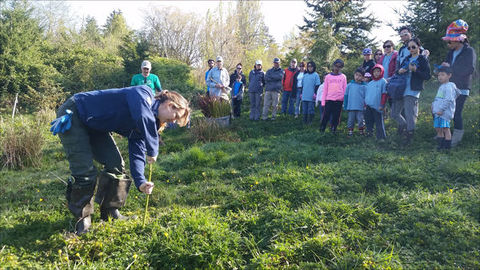 Lewis Creek Volunteers