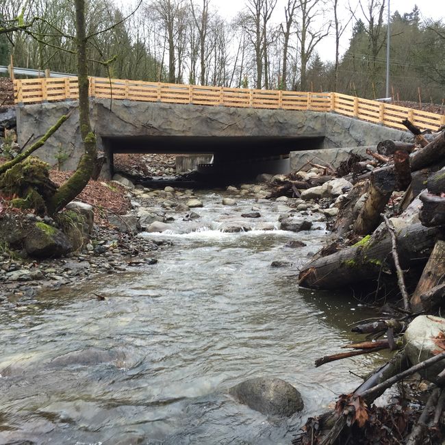 Coal Creek Parkway Culvert Project