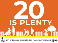 Image of twenty is plenty yard sign