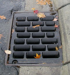 Storm Drain