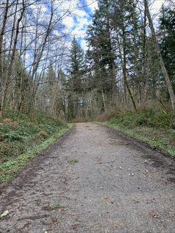 Photo of trail