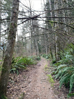 Photo of trail