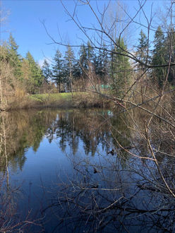 Photo of pond at Robinswood Parks