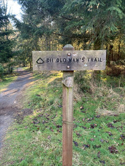 Photo of trail sign