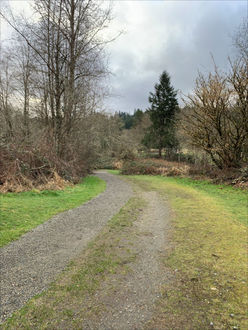 Photo of trail