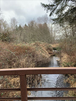 Photo of boardwalk trail over creek