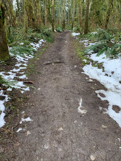 Photo of trail