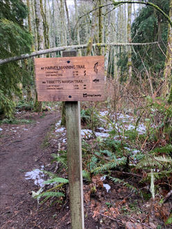 Photo of trail sign