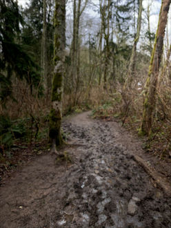 Photo of trail