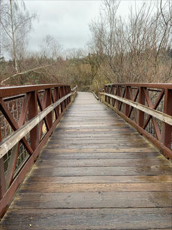 Photo of boardwalk trail