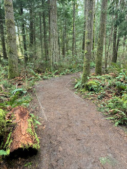 Photo of trail