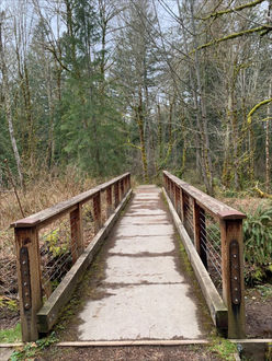 Photo of boardwalk trail