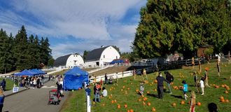 Kelsey Creek Farm Fair