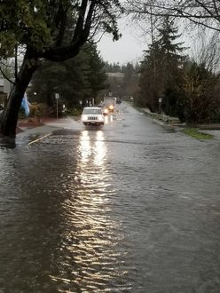 Cars driving through the flooded area at NE 21st St.