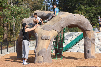 People enjoy the play features at Newport Woodlawn Park on its opening day.