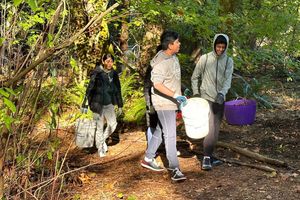 people cleaning public parks