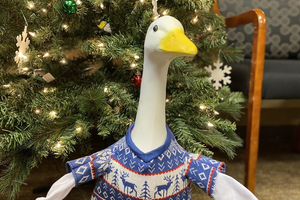 A plastic goose named Gus is wearing a blue winter themed sweater and in front of a decorated Christmas tree